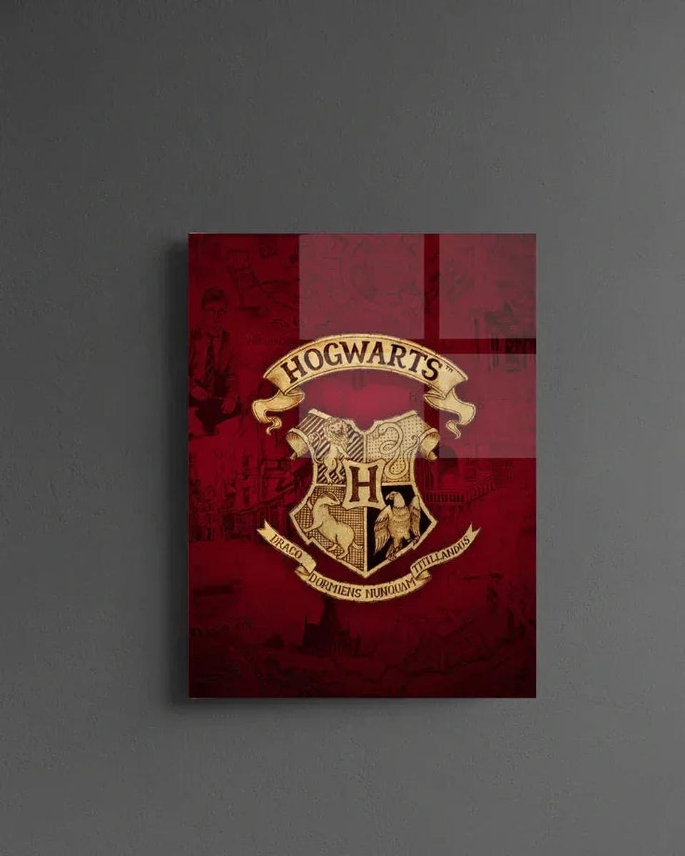 Hogwarts Legacy Premium Acrylic Poster