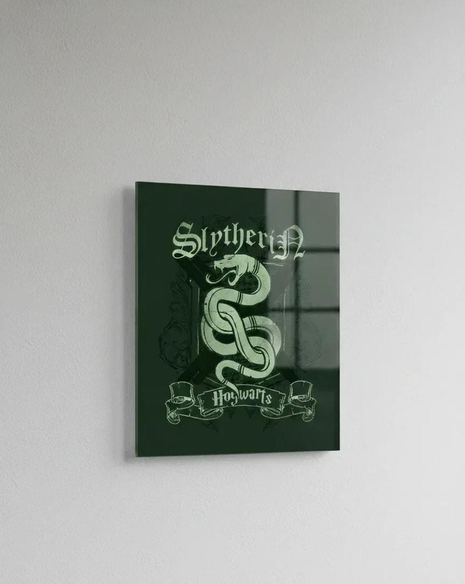 Slytherin House Acrylic Wall Poster